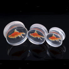 Load image into Gallery viewer, Gold Fish Liquid Acrylic Ear Gauges