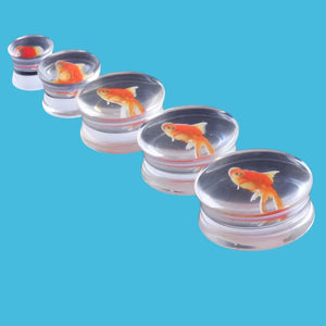 Gold Fish Liquid Acrylic Ear Gauges