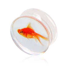 Load image into Gallery viewer, Gold Fish Liquid Acrylic Ear Gauges