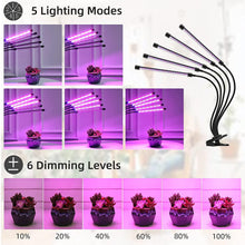 Load image into Gallery viewer, Grow Light Plant Lights for Indoor Plants LED Full Spectrum 5 Bulbs